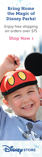 Shop the Disneystore.com